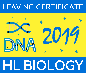 Leaving Certificate Biology | Higher Level | 2019 Exam Paper Solution course image