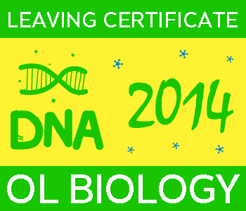 2014 Exam Paper Solution | Leaving Certificate | Ordinary Level | Biology course image