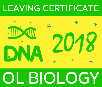 2018 Exam Paper Solution | Leaving Certificate | Ordinary Level | Biology course image