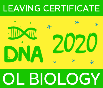 2020 Exam Paper Solution | Leaving Certificate | Ordinary Level | Biology course image