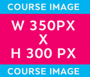 Sample-Image-Size-350x300px